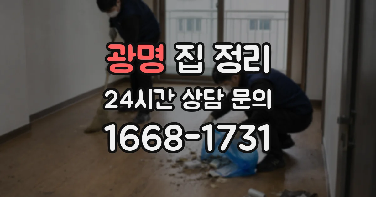 광명 집 정리