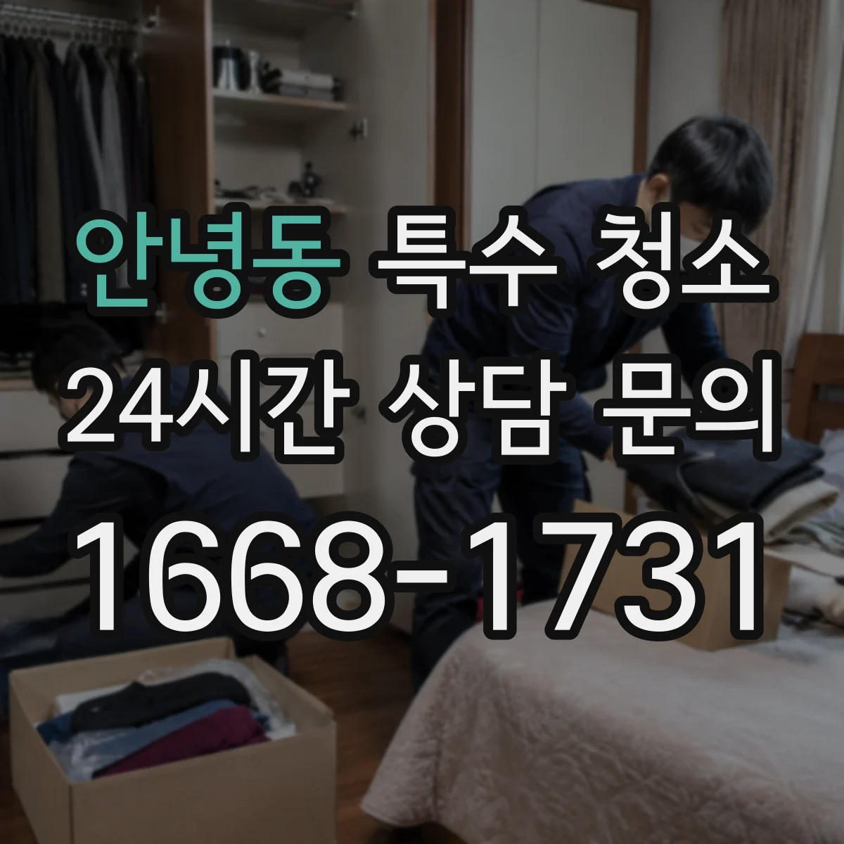 안녕동 특수 청소
