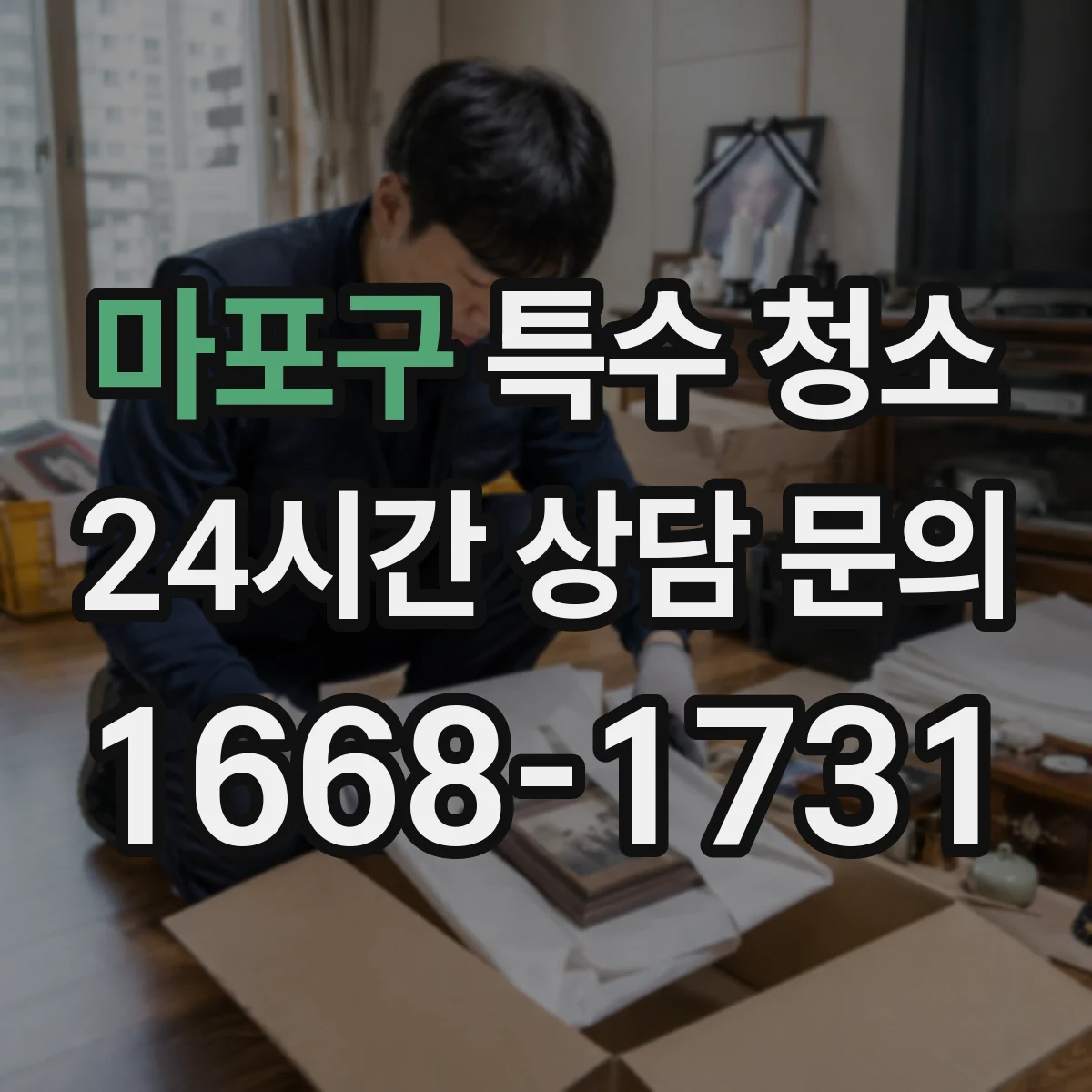 마포구 특수 청소