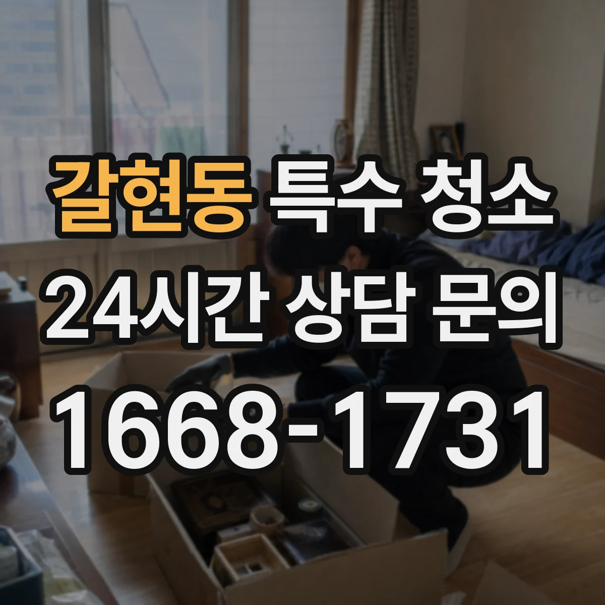갈현동 특수 청소