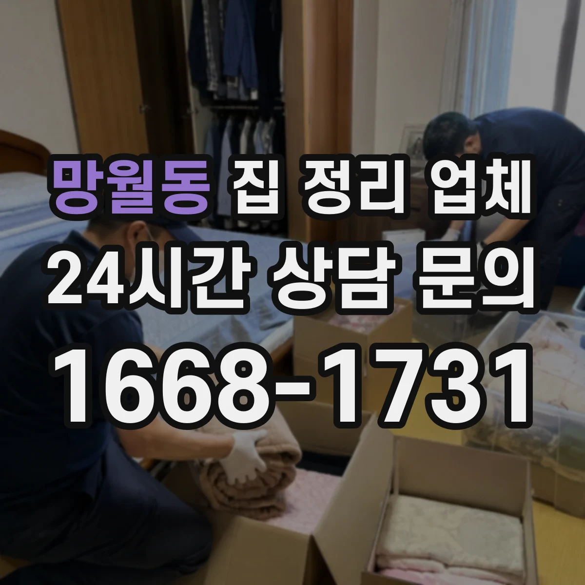 망월동 집 정리 업체