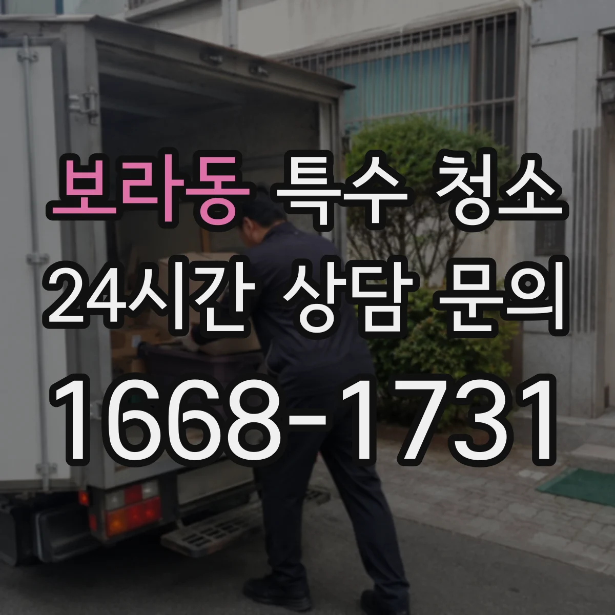 보라동 특수 청소