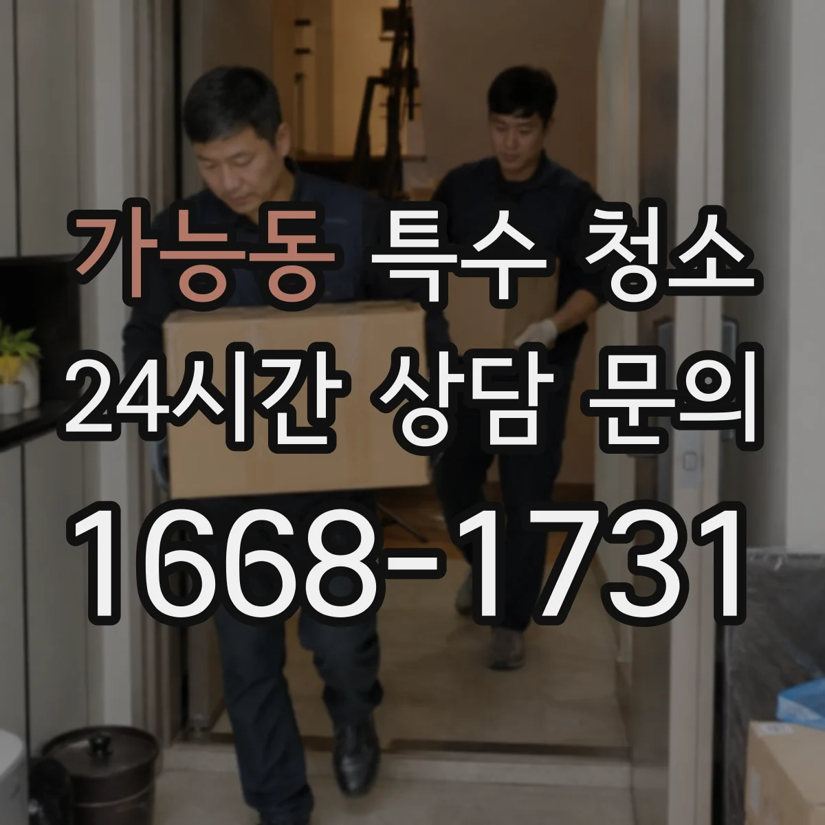 가능동 특수 청소