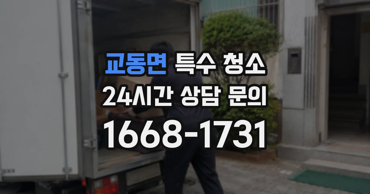 교동면 특수 청소