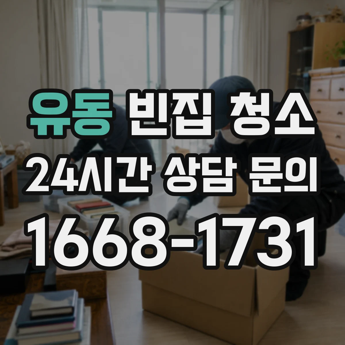 유동 빈집 청소