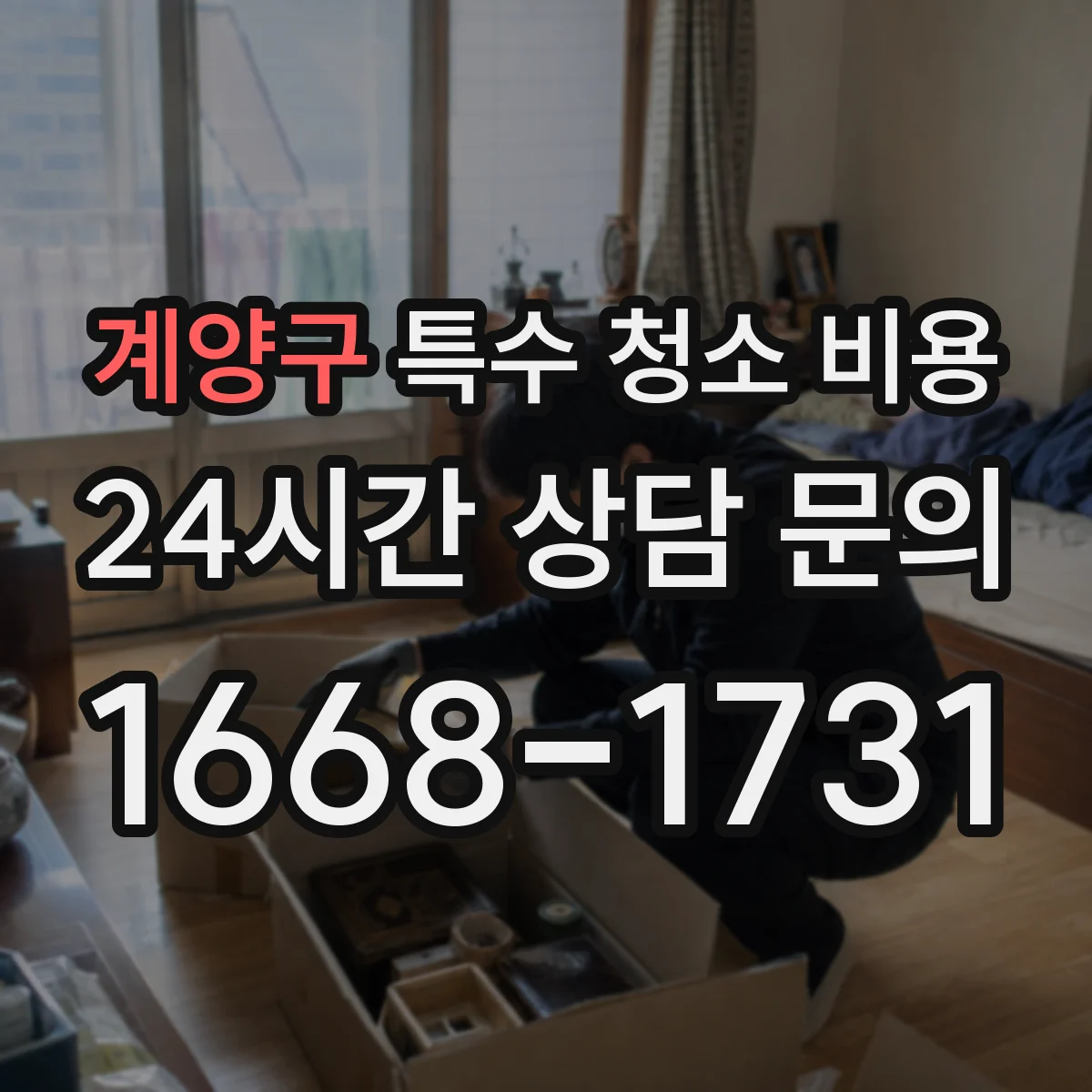 계양구 특수 청소 비용
