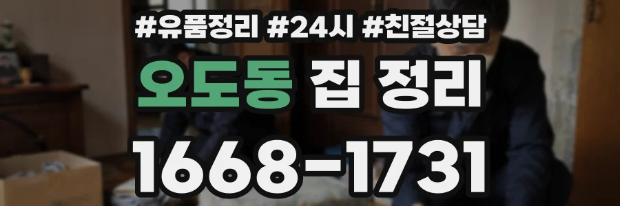 오도동 집 정리