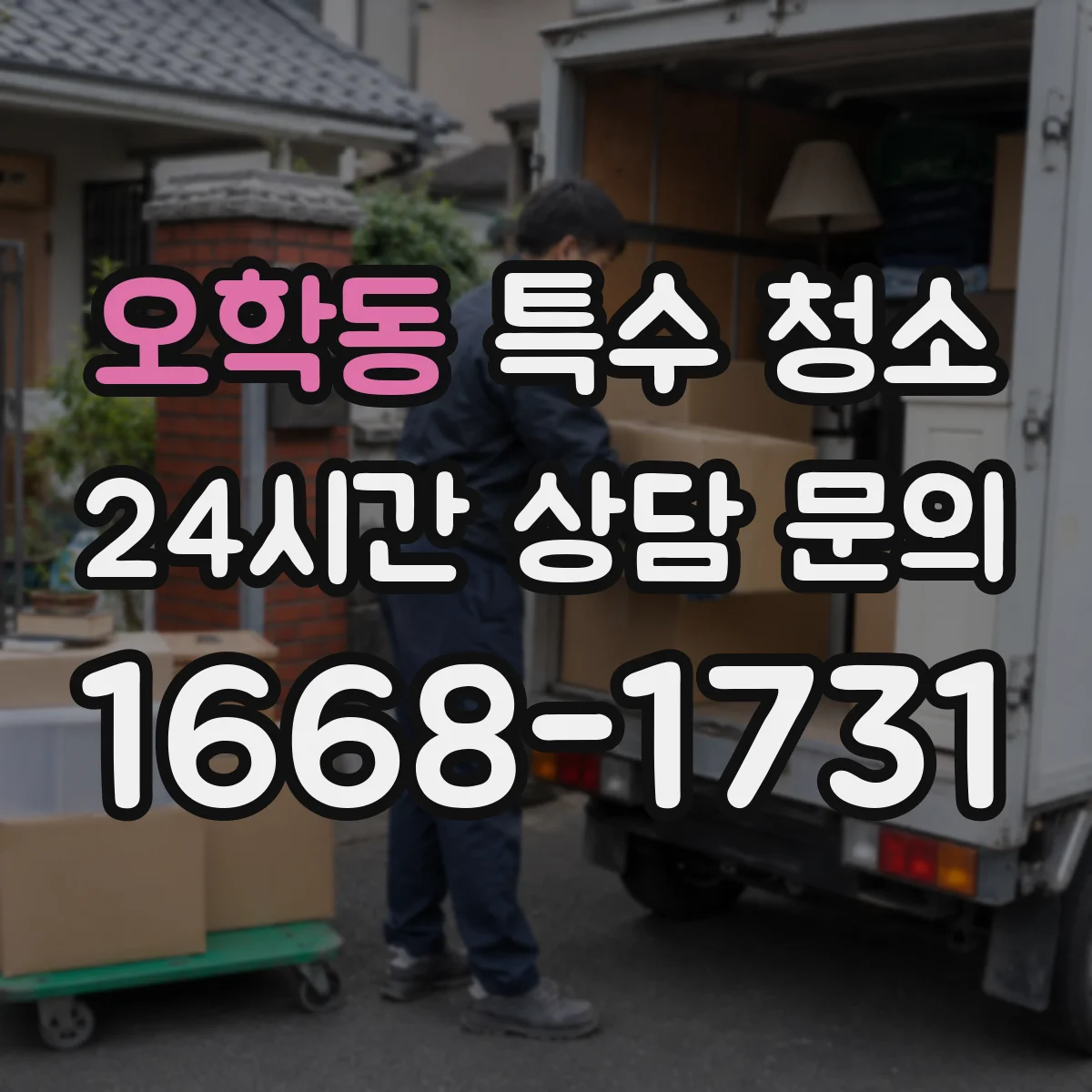 오학동 특수 청소
