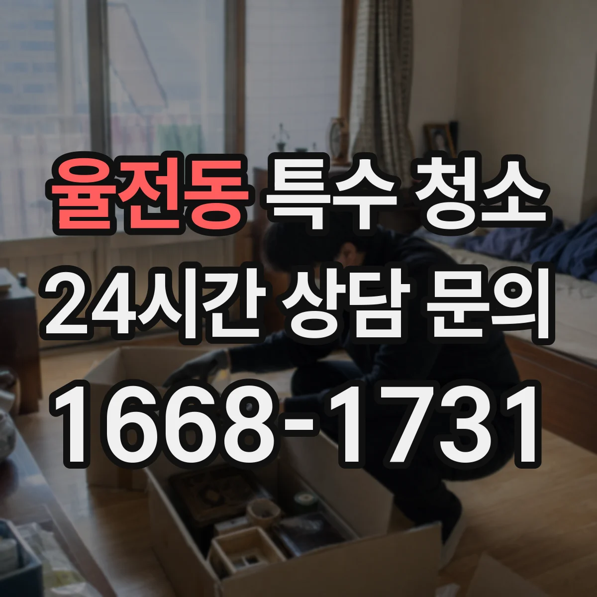 율전동 특수 청소