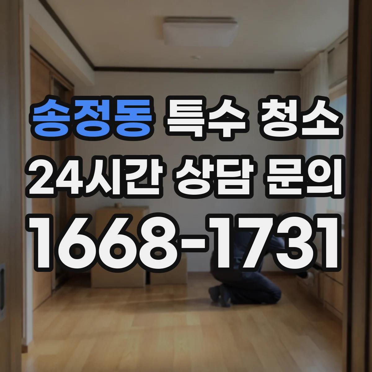 송정동 특수 청소