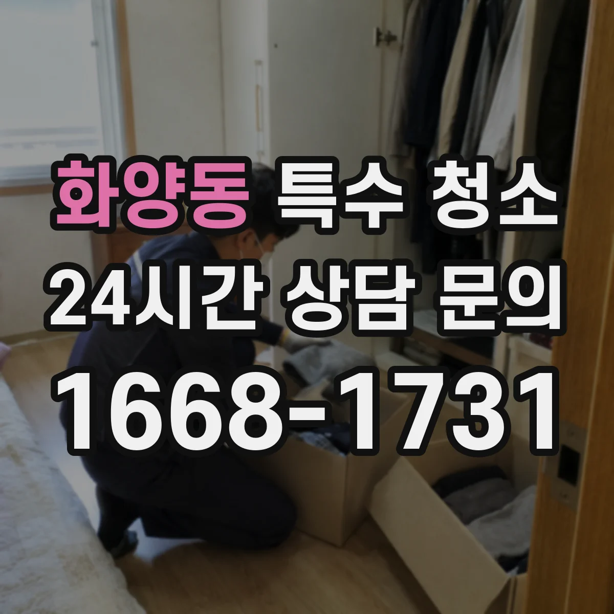 화양동 특수 청소