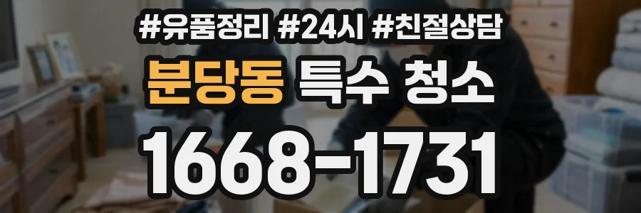 분당동 특수 청소