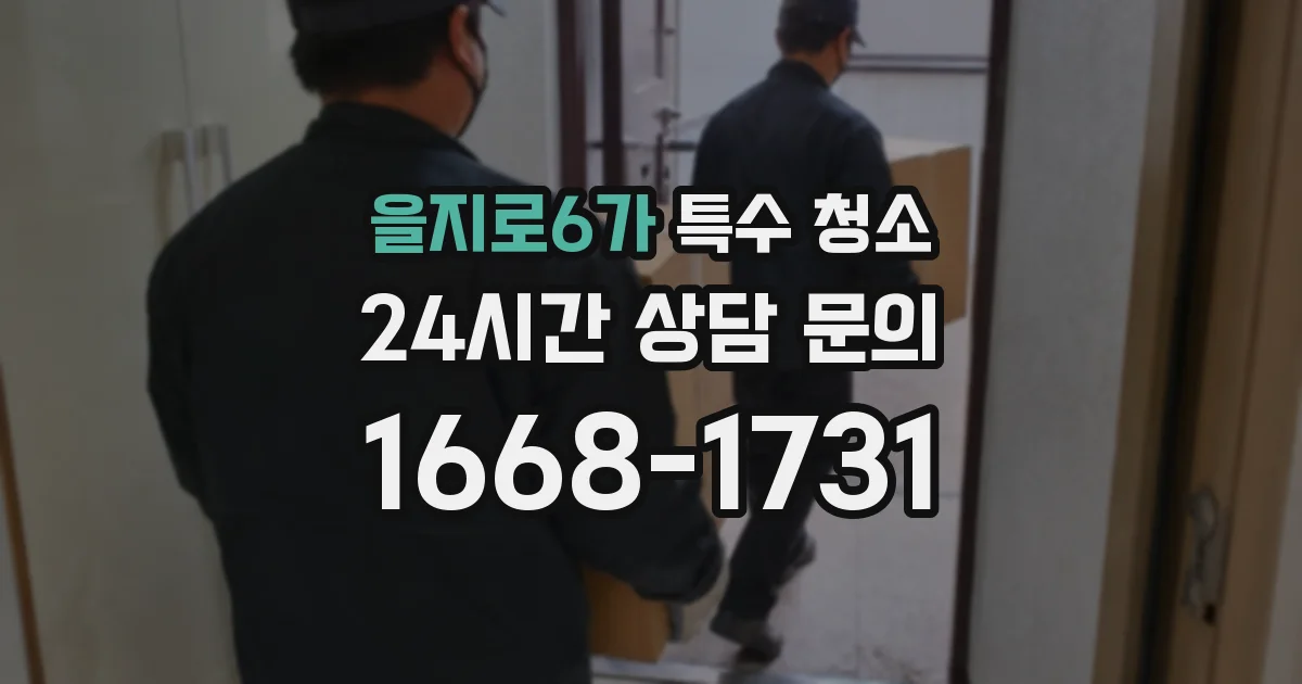 을지로6가 특수 청소