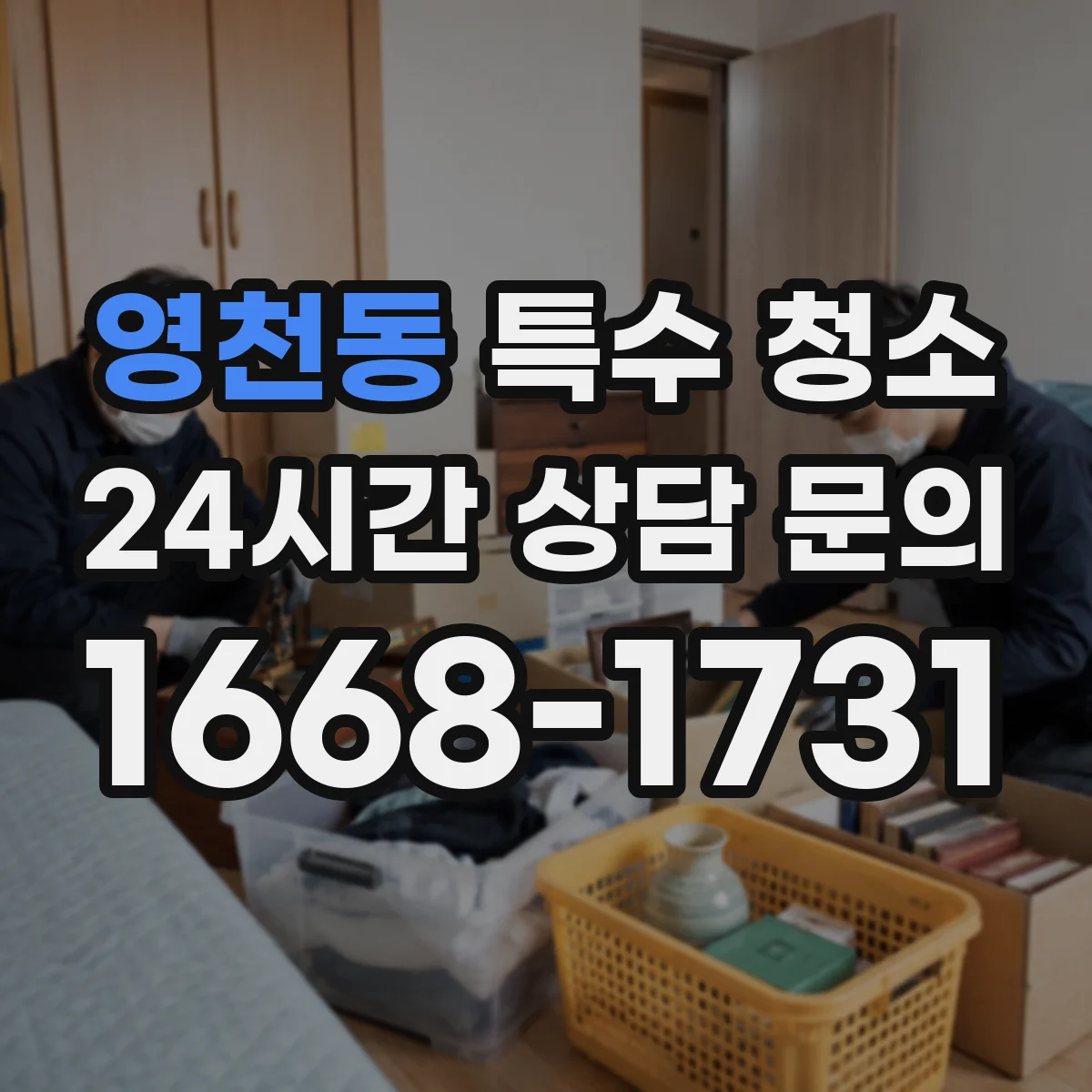 영천동 특수 청소