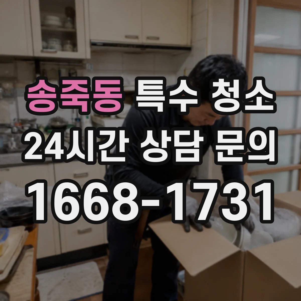송죽동 특수 청소