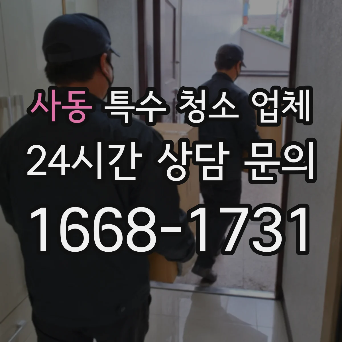 사동 특수 청소 업체