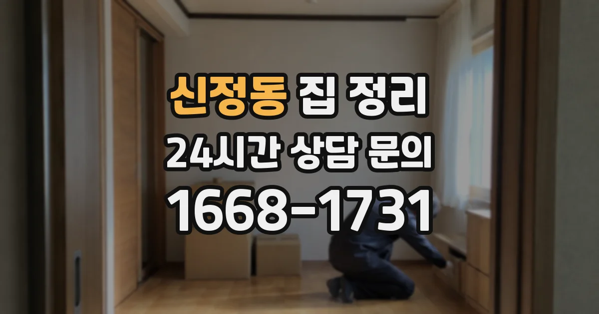 신정동 집 정리
