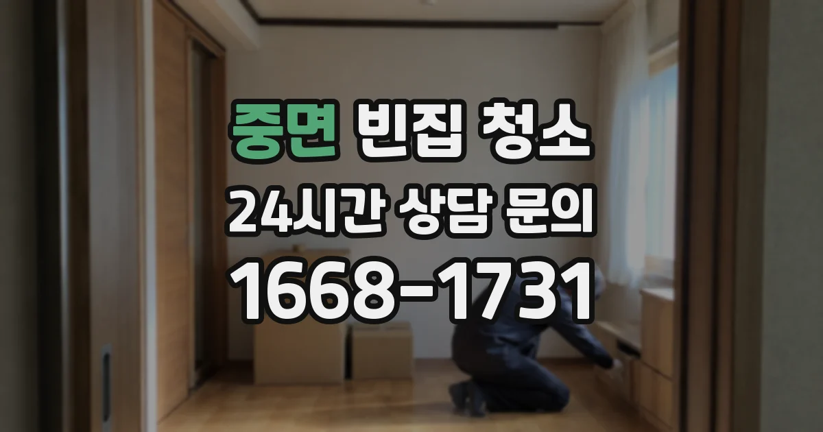 중면 빈집 청소