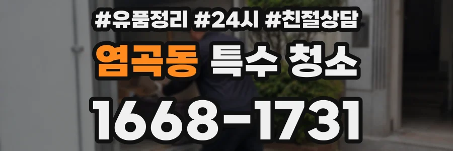 염곡동 특수 청소