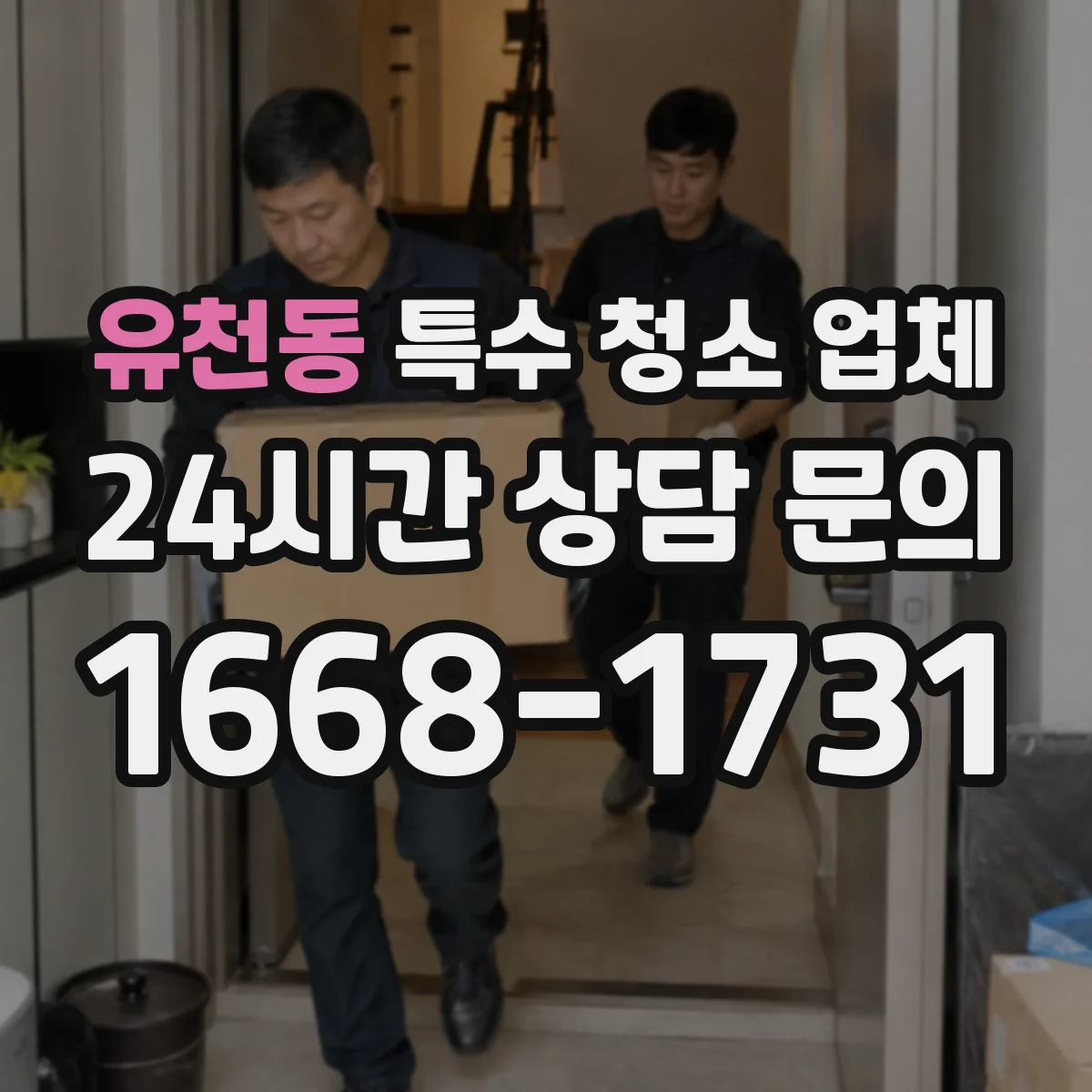 유천동 특수 청소 업체