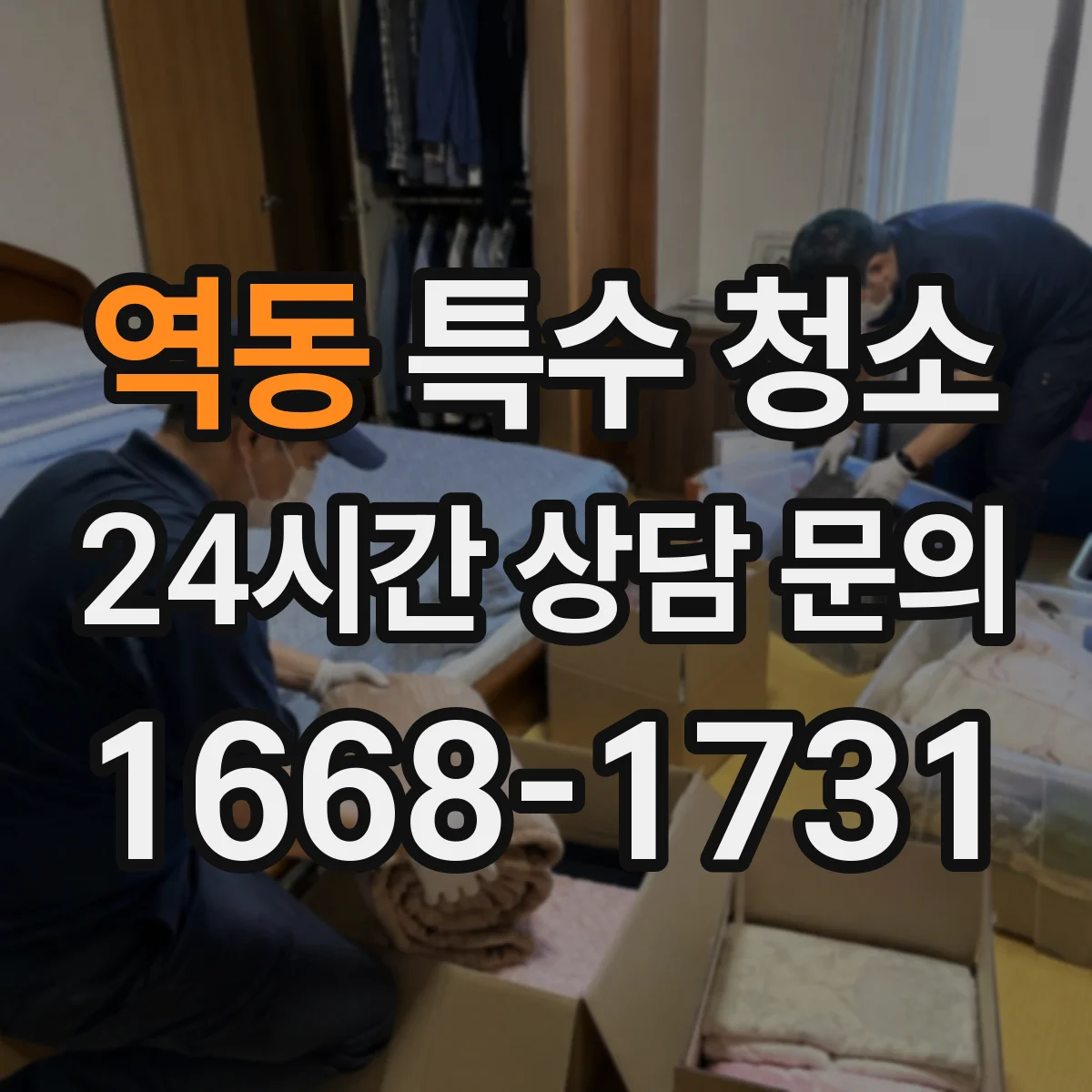 역동 특수 청소