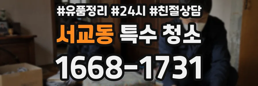 서교동 특수 청소