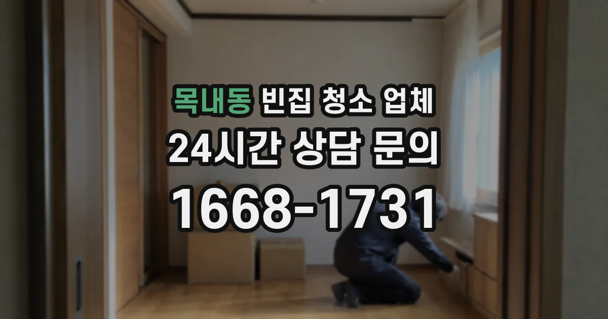 목내동 빈집 청소 업체