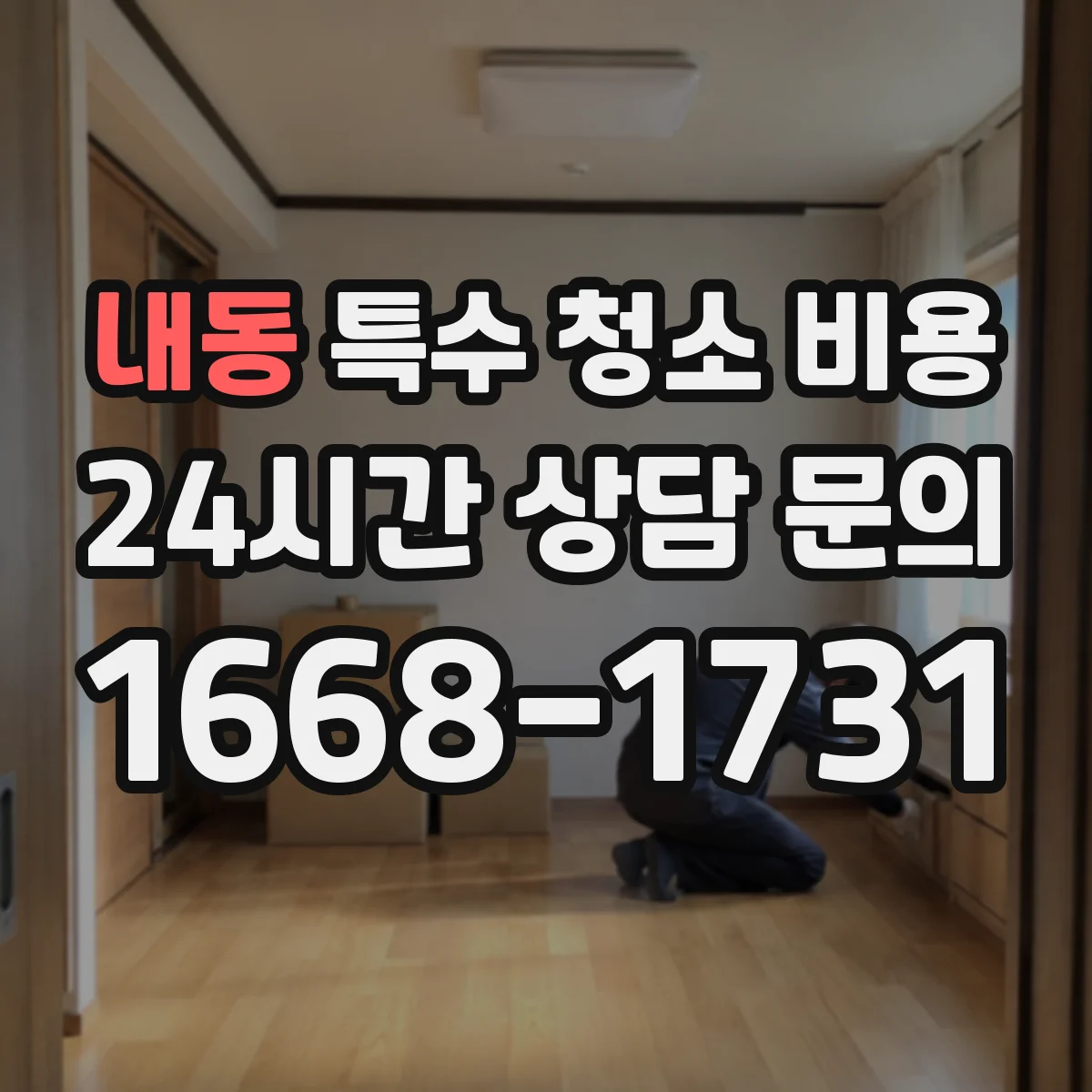 내동 특수 청소 비용
