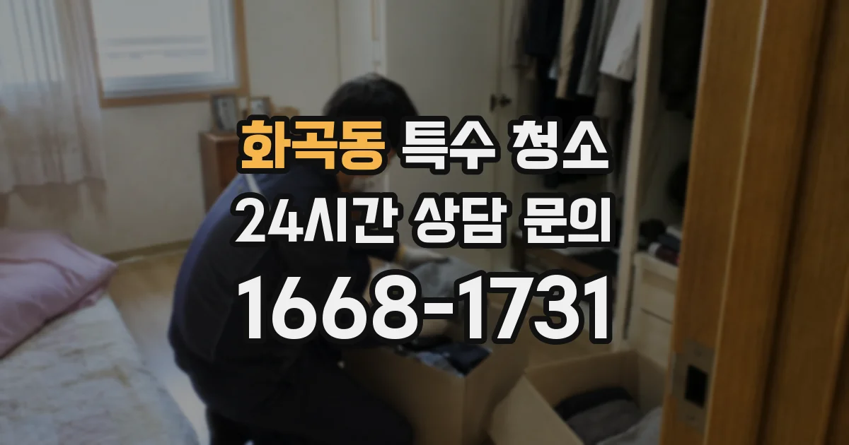 화곡동 특수 청소