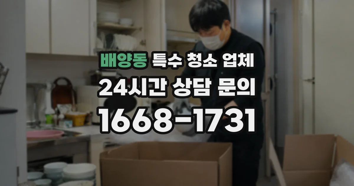 배양동 특수 청소 업체
