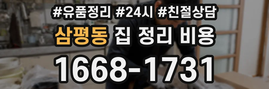 삼평동 집 정리 비용