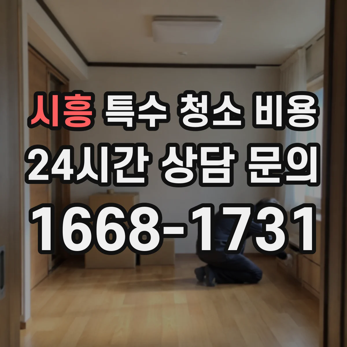 시흥 특수 청소 비용 분무 세척 도구와 약품 비용이 반영되는 항목