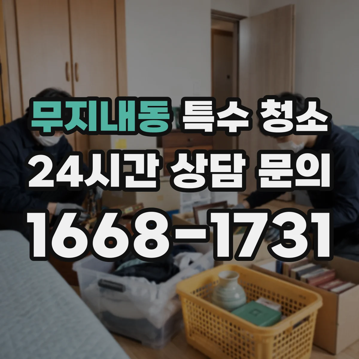 무지내동 특수 청소
