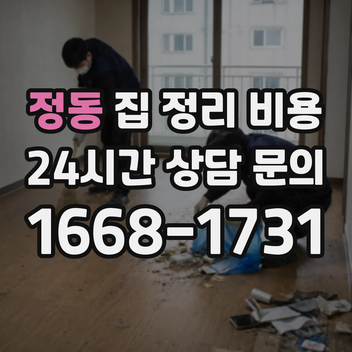 정동 집 정리 비용