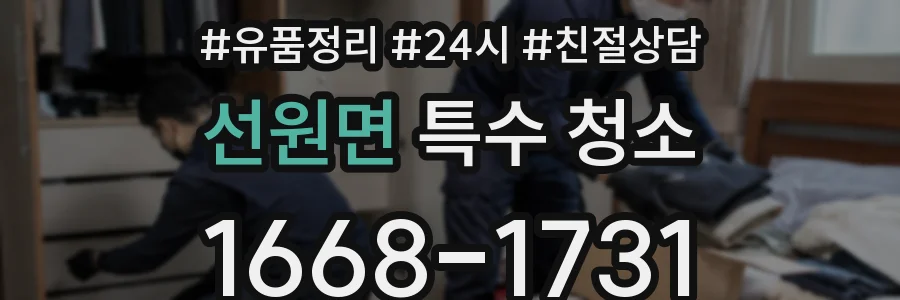 선원면 특수 청소