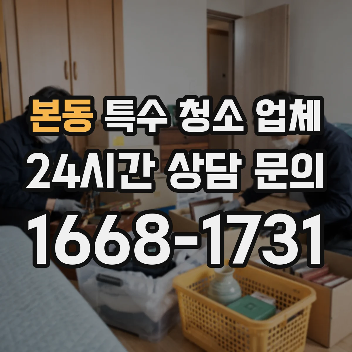 본동 특수 청소 업체