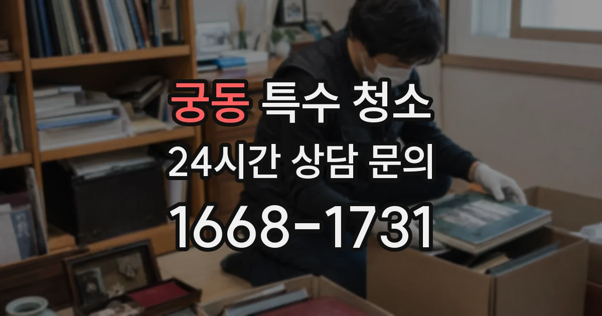 궁동 특수 청소