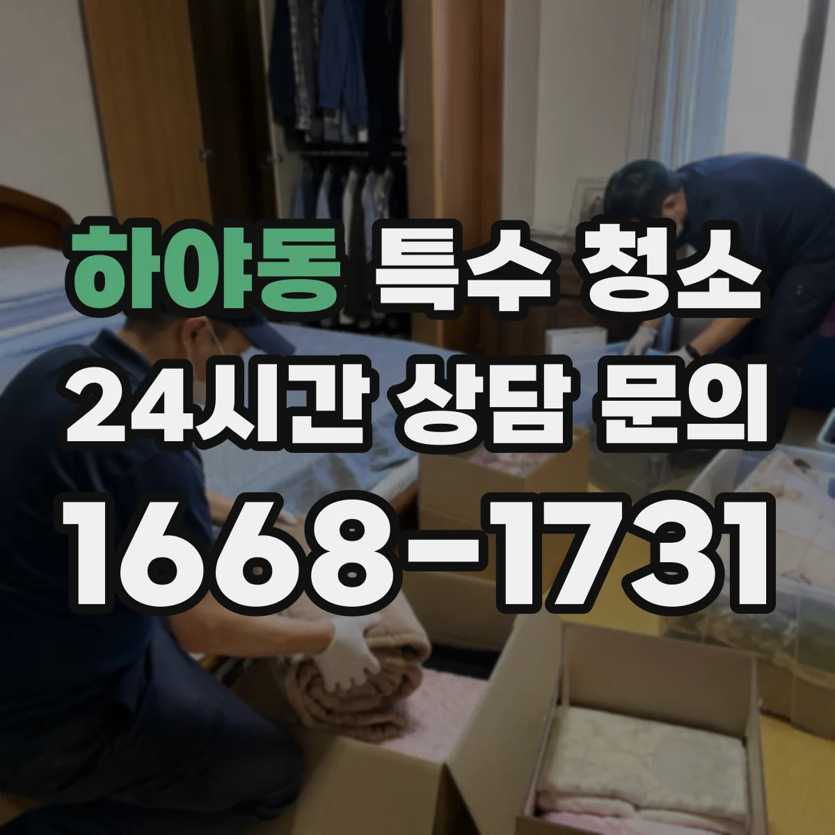 하야동 특수 청소