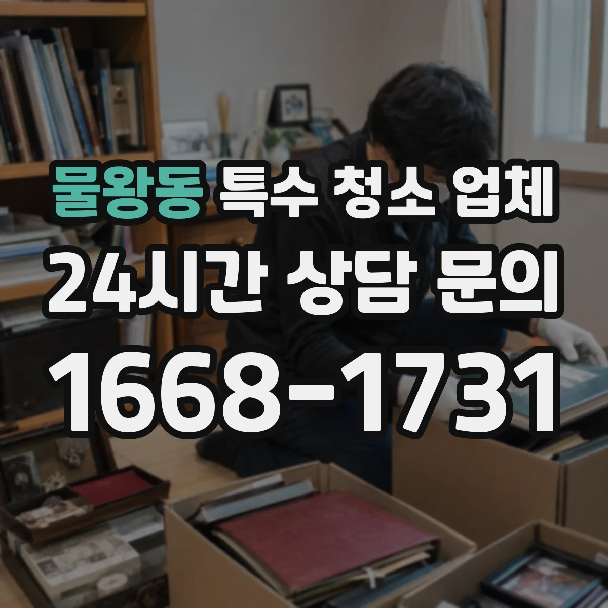 물왕동 특수 청소 업체