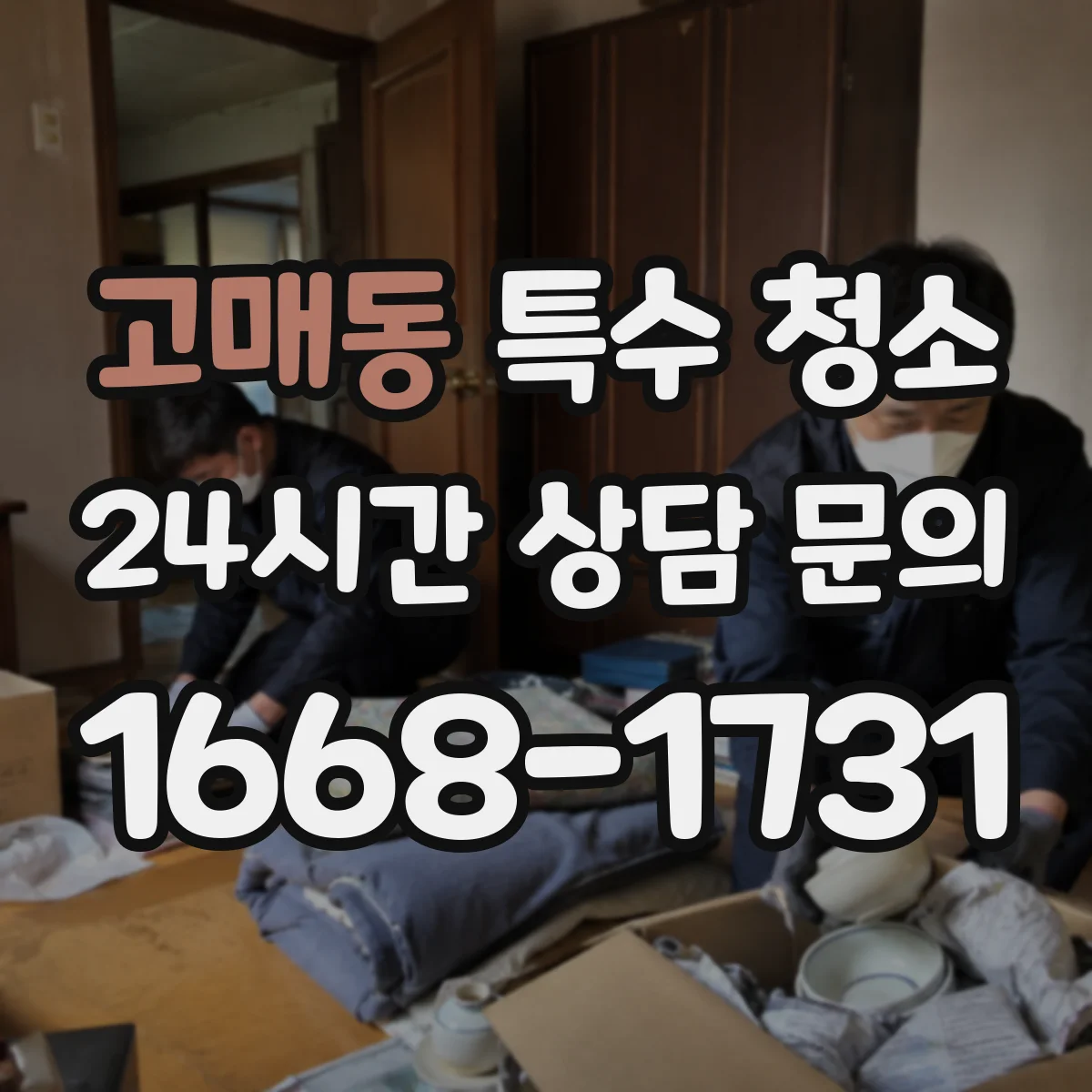 고매동 특수 청소