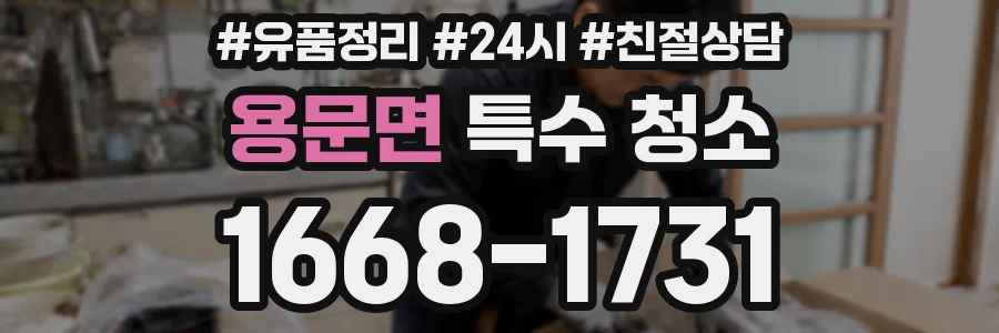 용문면 특수 청소