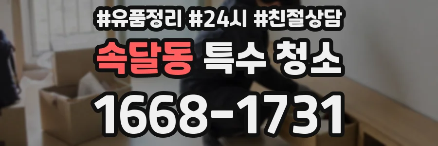 속달동 특수 청소