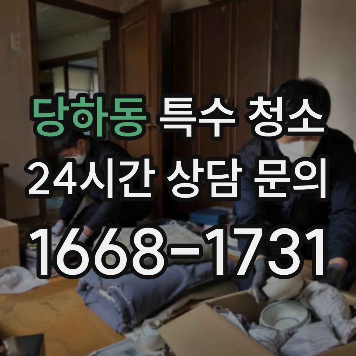 당하동 특수 청소