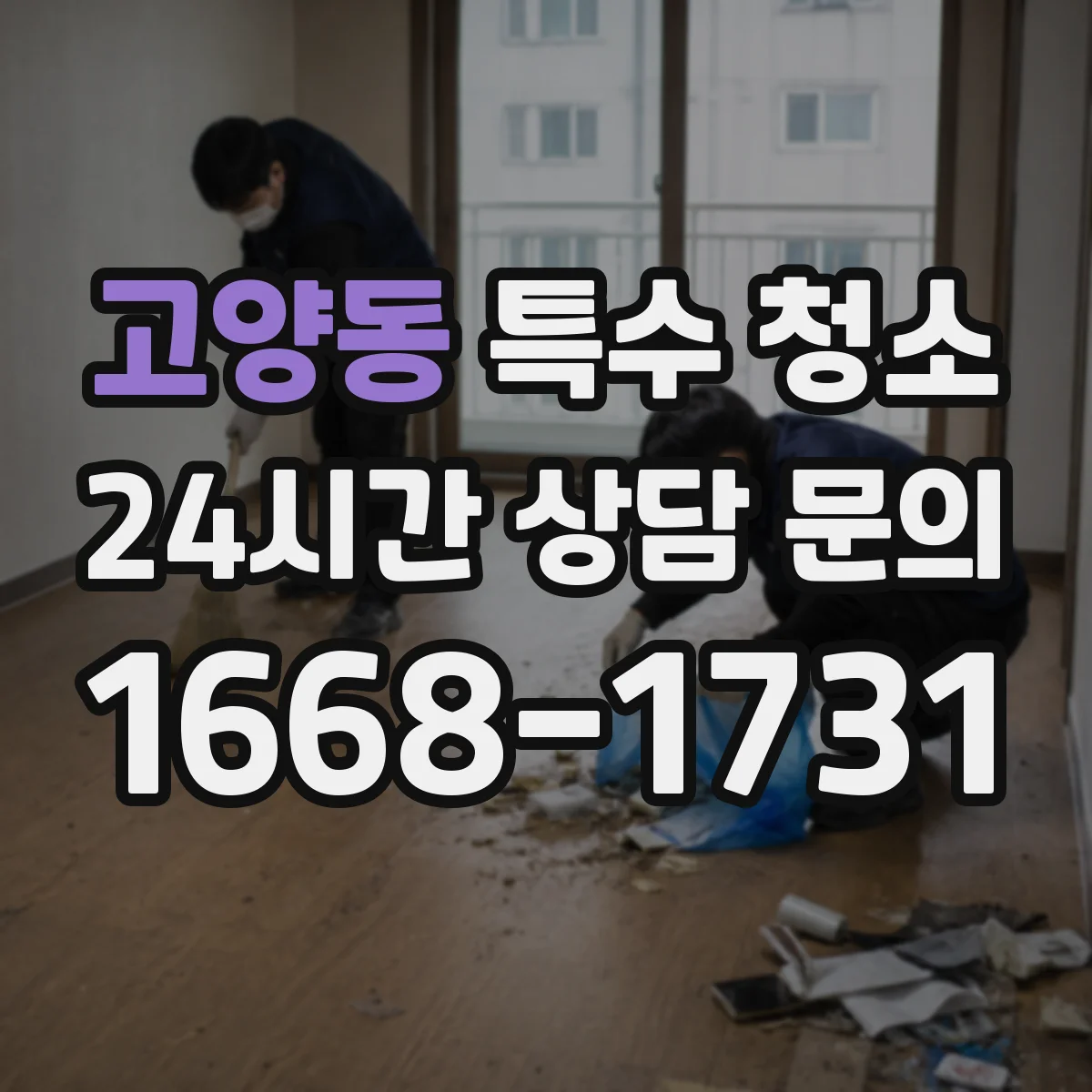 고양동 특수 청소