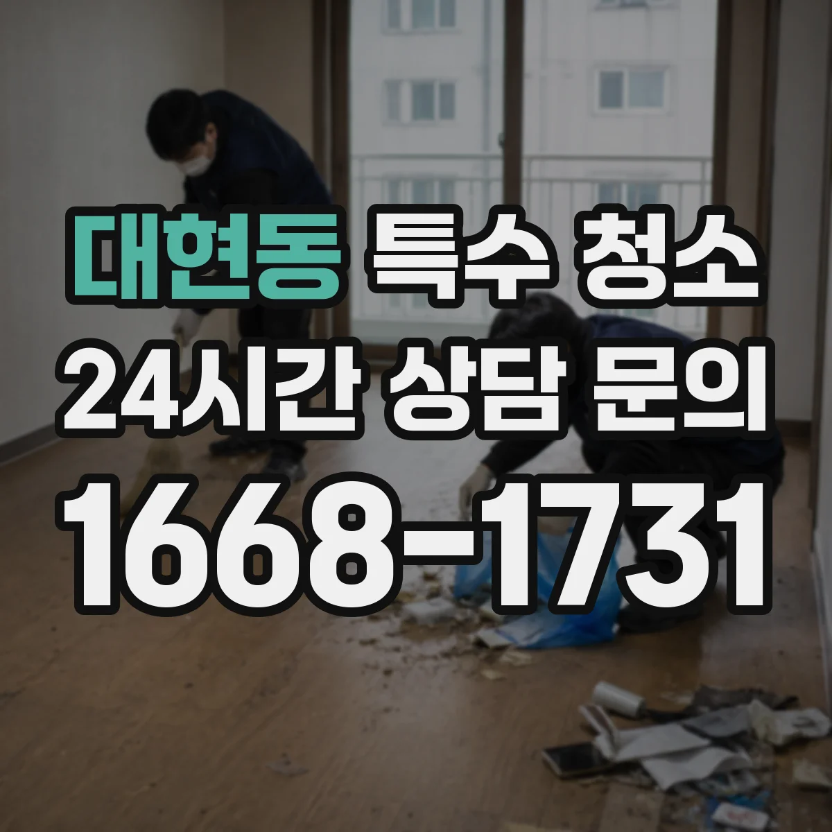 대현동 특수 청소