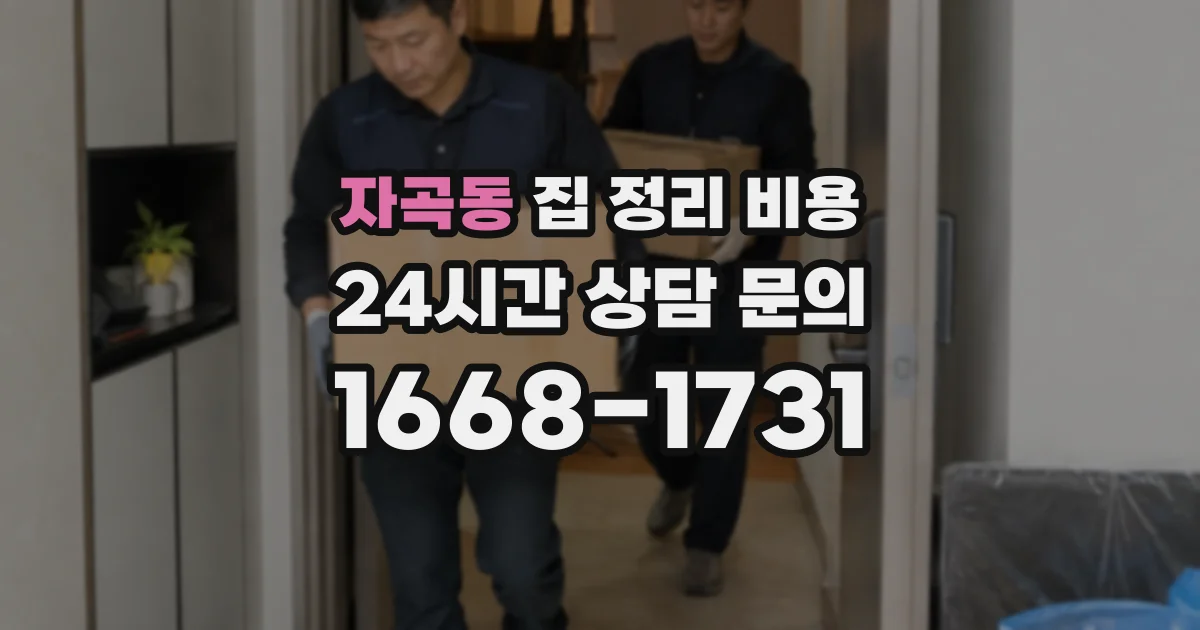 자곡동 집 정리 비용