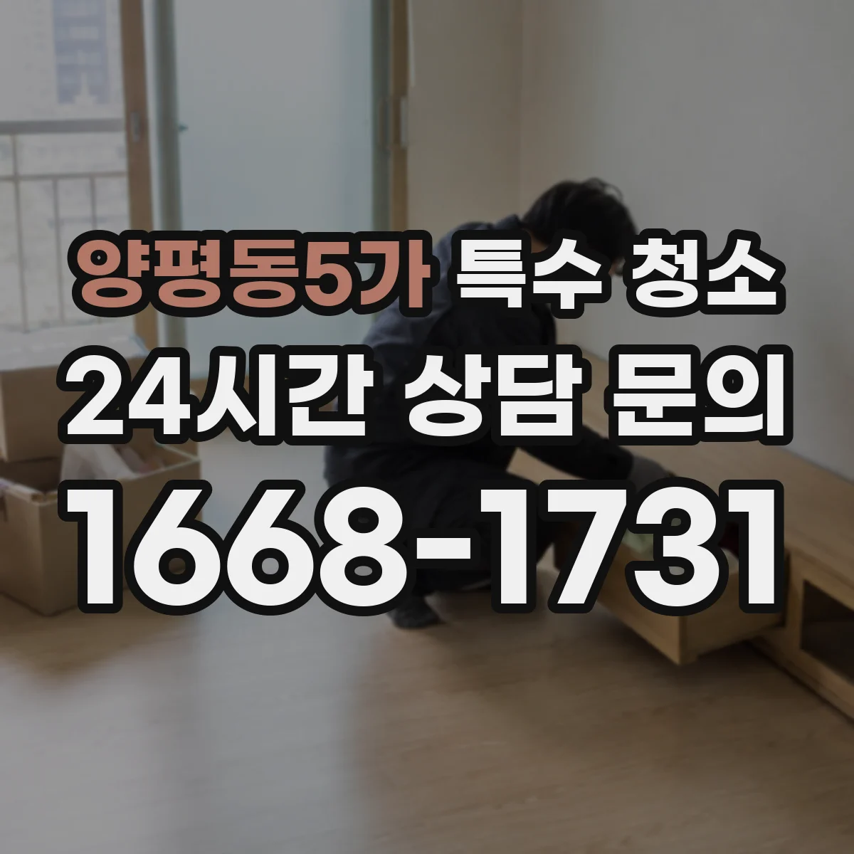 양평동5가 특수 청소