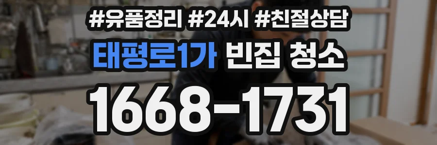태평로1가 빈집 청소