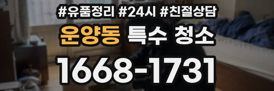 운양동 특수 청소