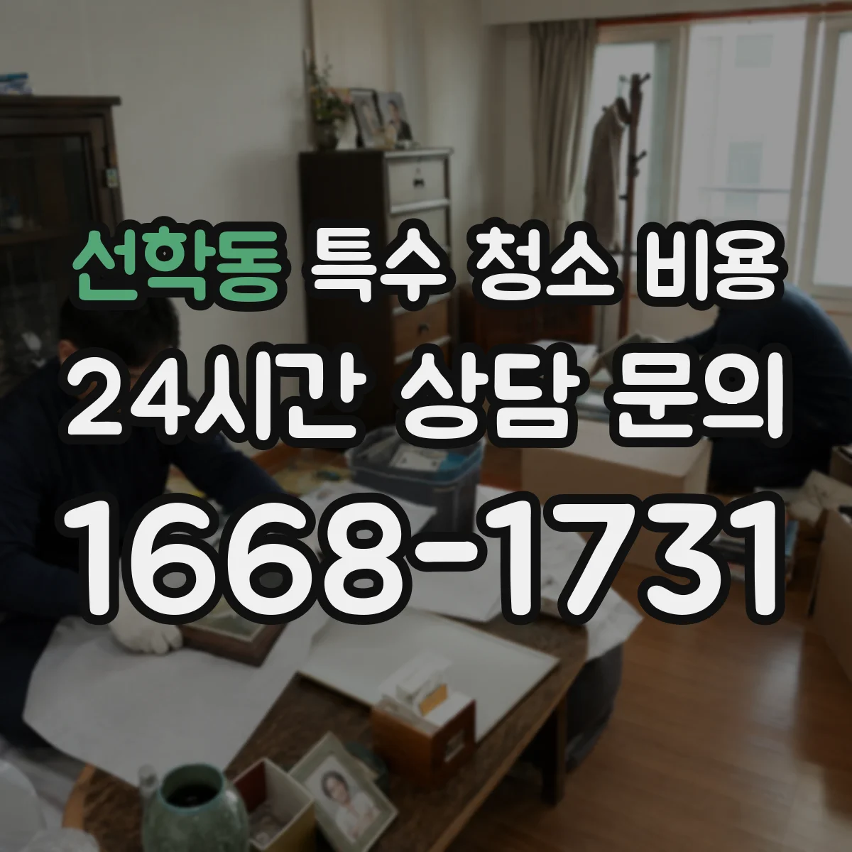 선학동 특수 청소 비용